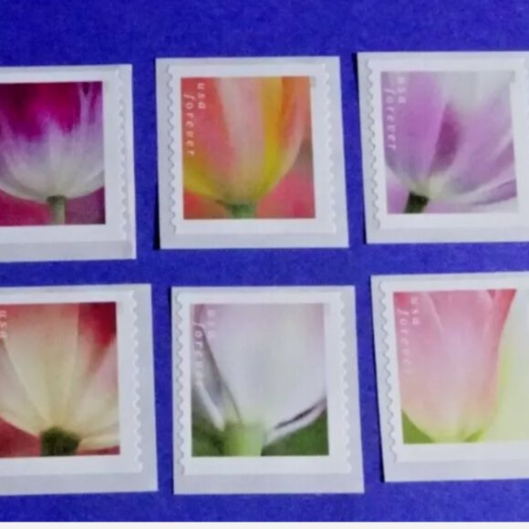 US 2023  Tulip Blossoms Forever Stamps (1000 stamps) - Picture 6 of 9